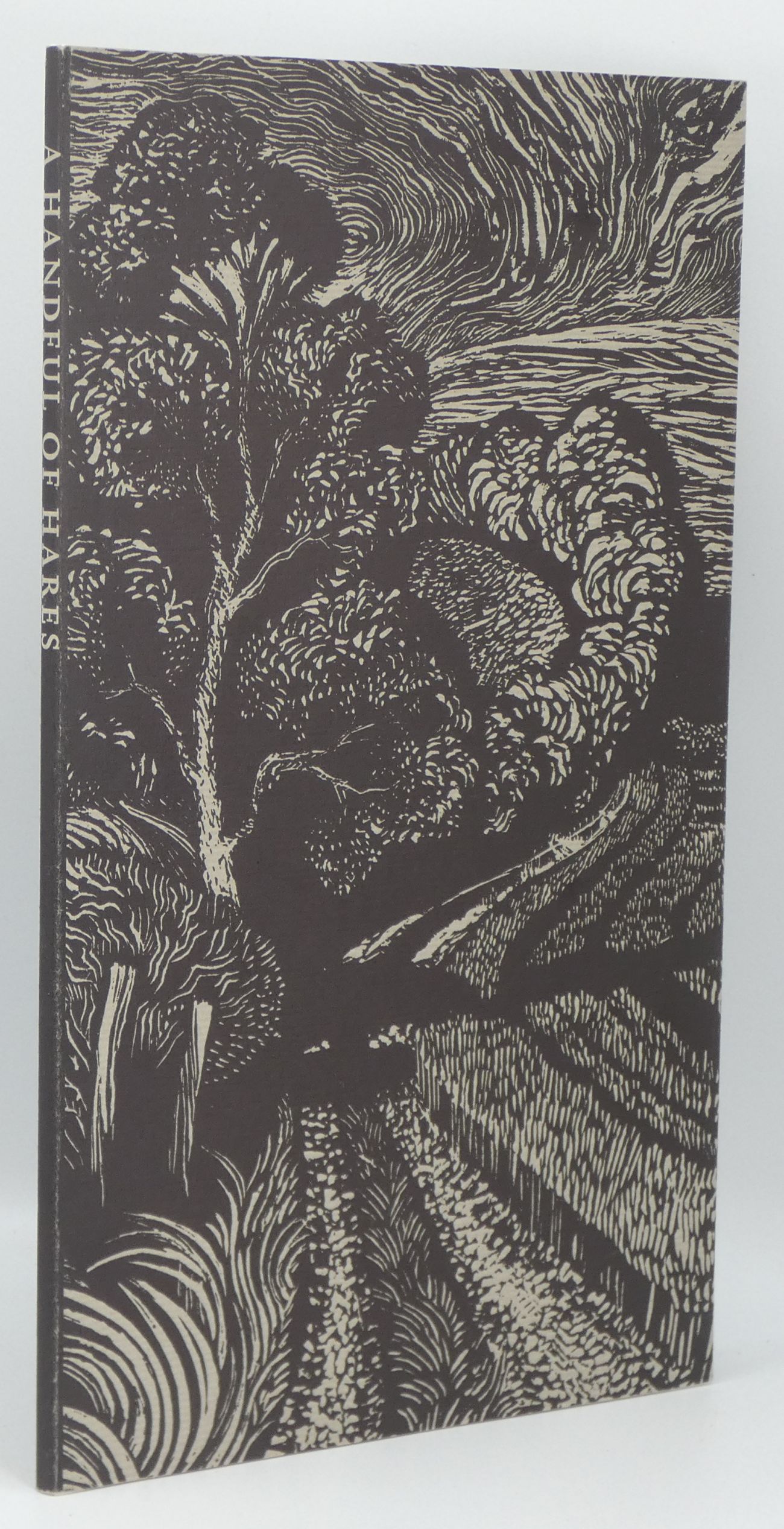 Image for A Handful of Hares: Celebrating the Mystery & Fascination of Hares