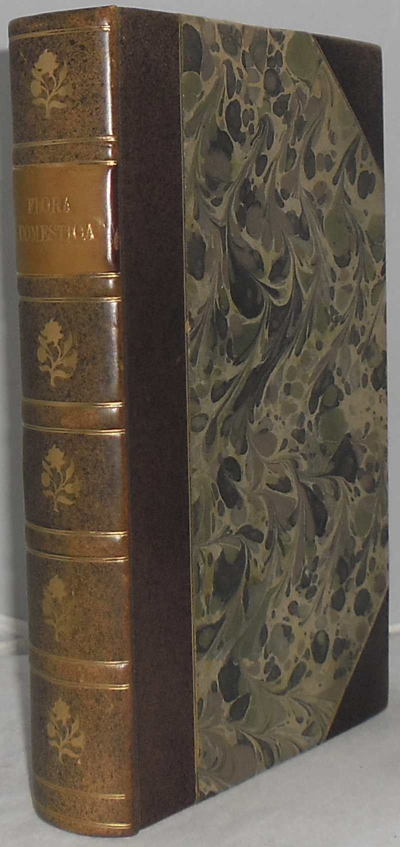 Image for Flora Domestica; Or, the Portable Flower-Garden: With Directions for the Treatment of Plants in Pots; and Illustrations from the Works of the Poets