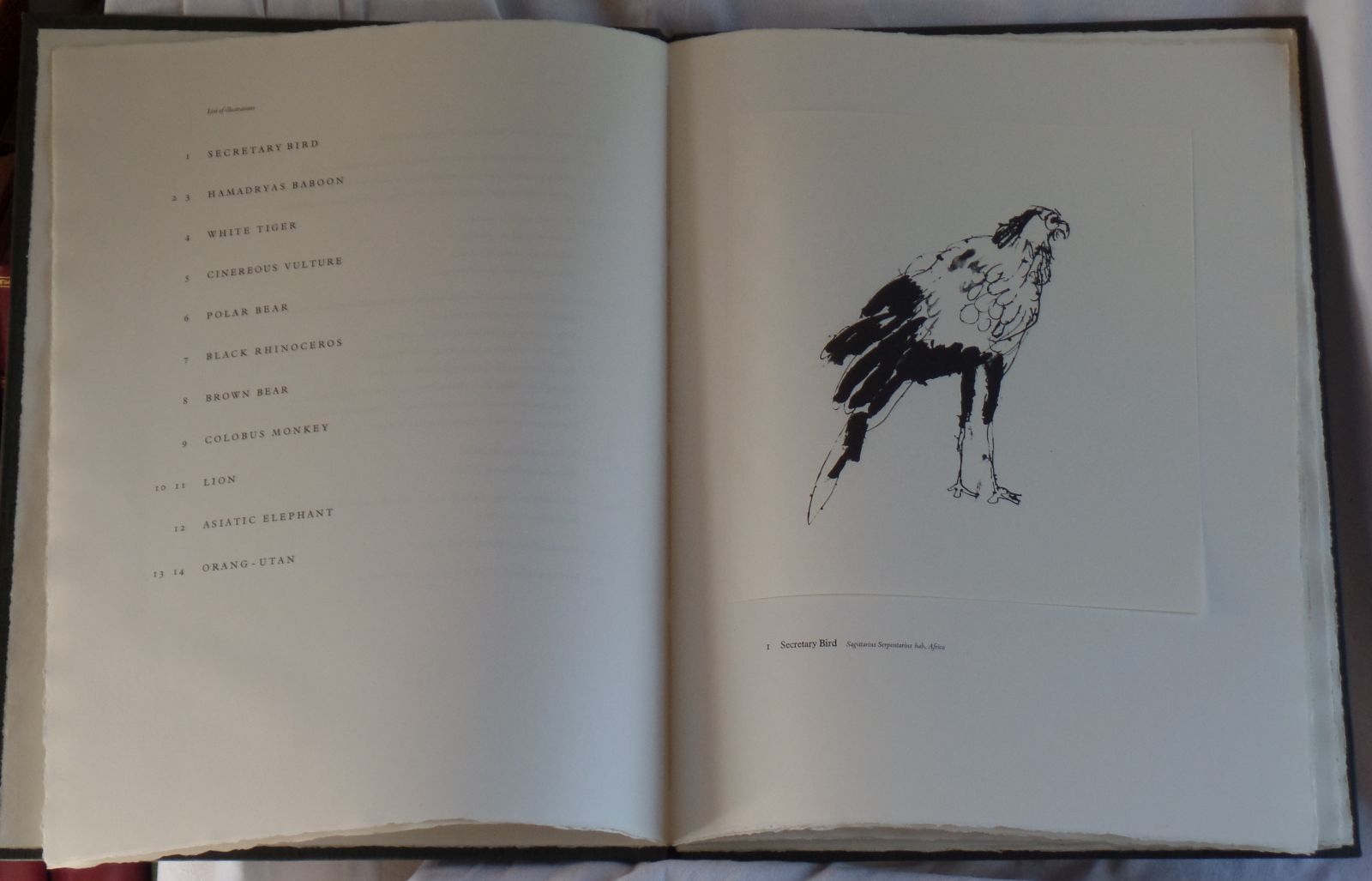 Image for Since men prove beasts let beasts bear gentle Minds