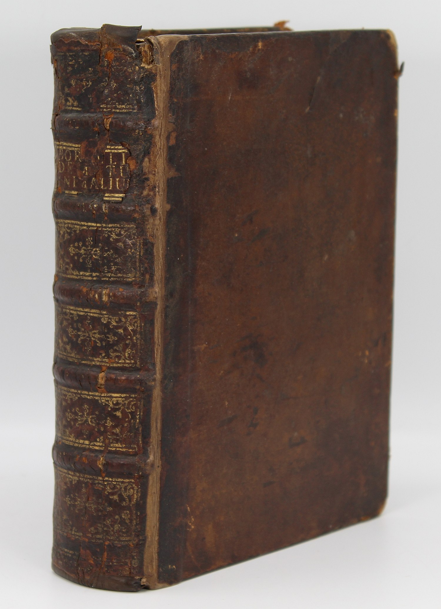 Image for De Motu Animalium