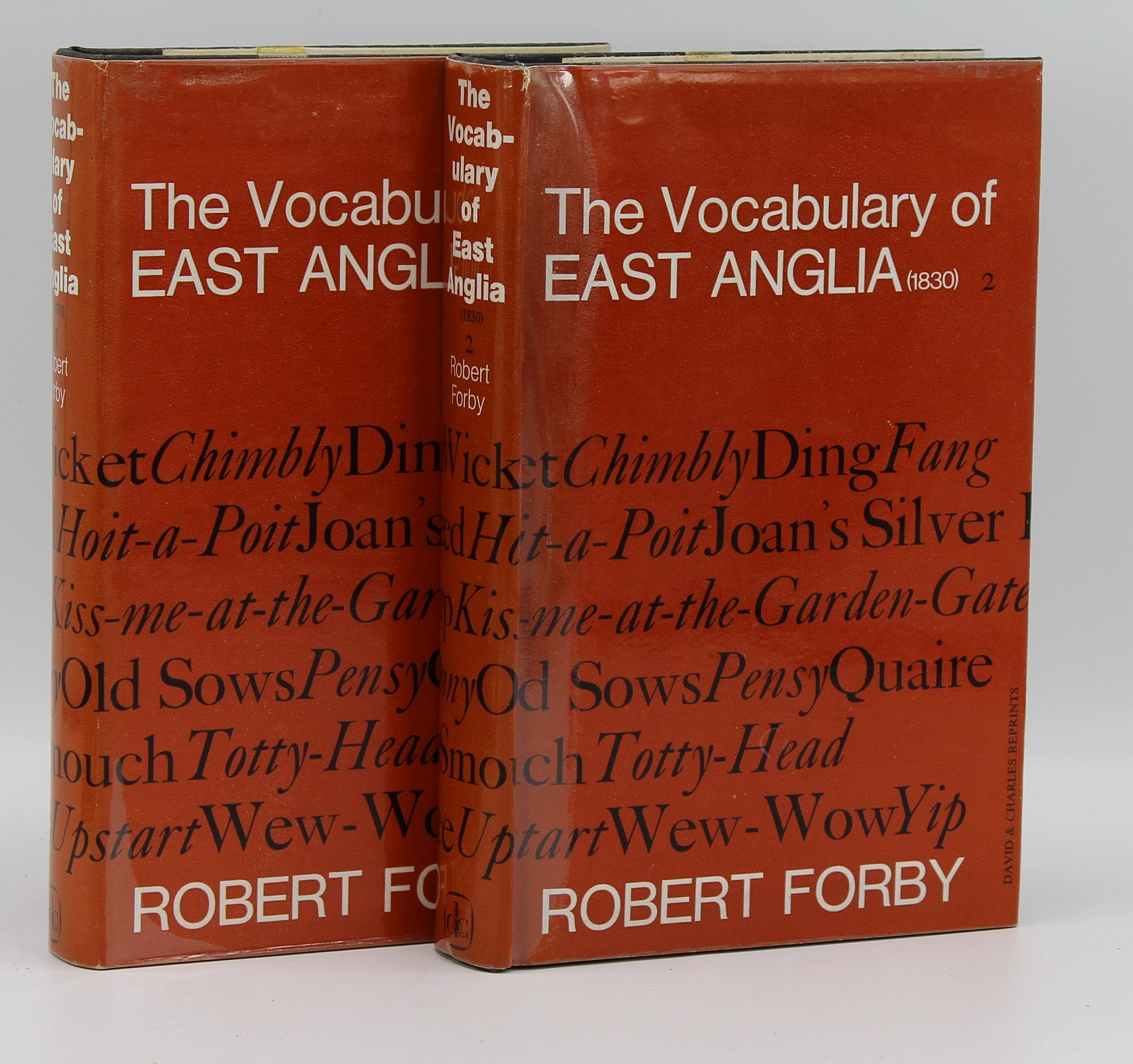 Image for The Vocabulary of East Anglia [2 Volume set]