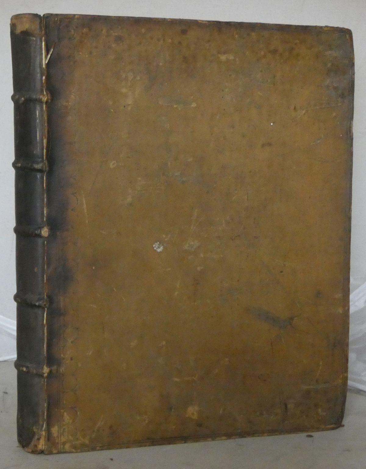 Image for Observations on the Statutes, Chiefly the More ancient, from Magna Charta to the Twenty-First of James the First, Ch. Xxvii. With an Appendix; Being a Proposal for New Modelling the Statutes
