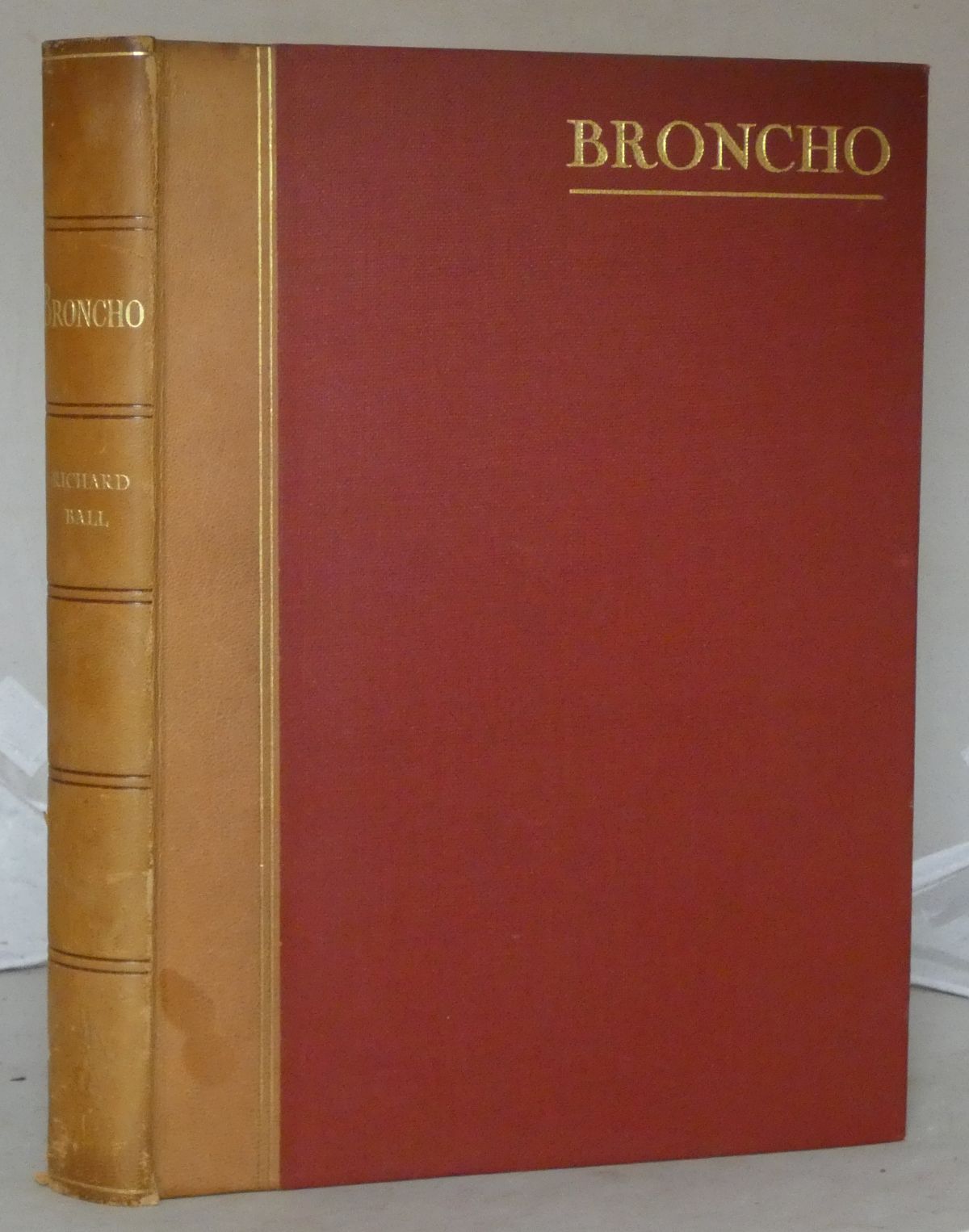 Image for Broncho