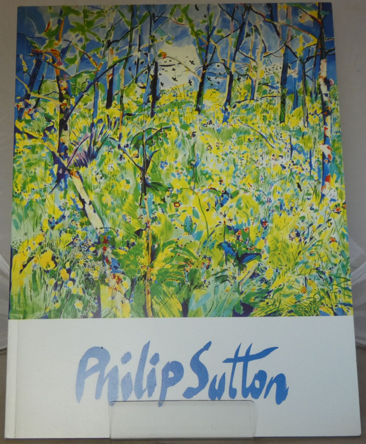 Image for Paintings, Watercolours & Ceramics: Philip Sutton 1988-1992 [Exhibition Catalogue]