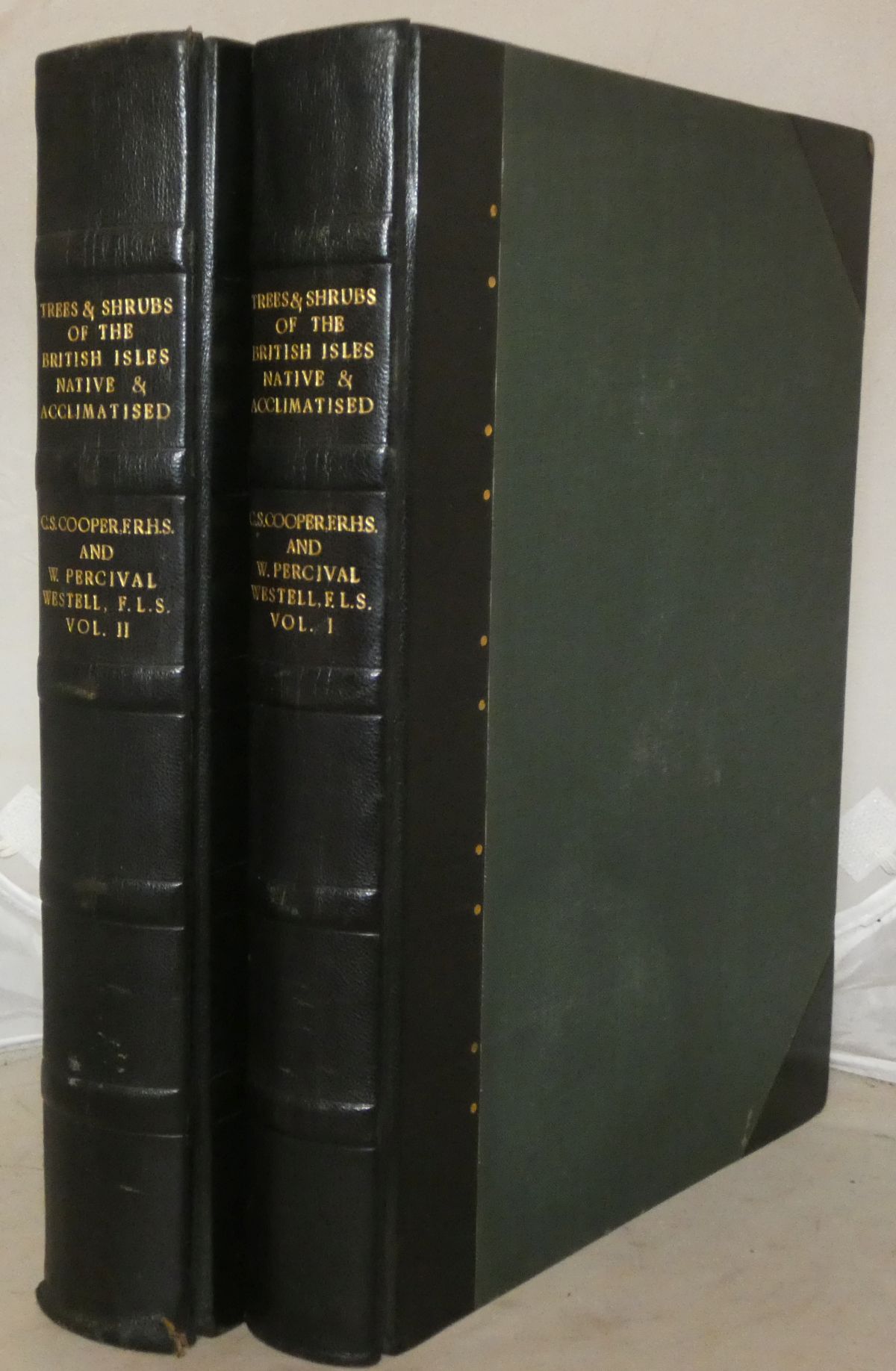 Image for Trees & Shrubs of the Biritsh Isles: Native & Acclimatised [2 Volume Set]