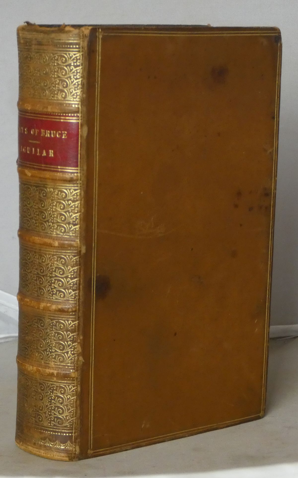 Image for The days of Bruce; a Story from Scottish History