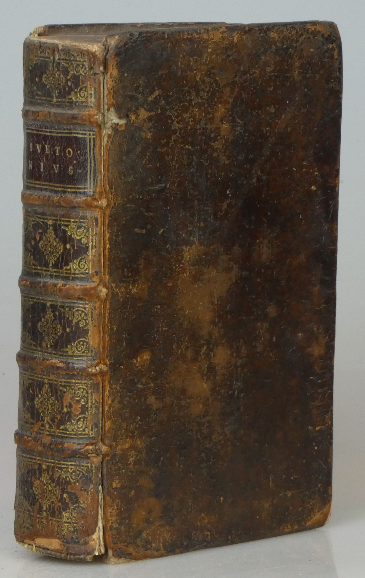 Image for C. Suetonius Tranquillus et in Eum Commentarius Exhibente Joanne Schildio. Editio Quarta.