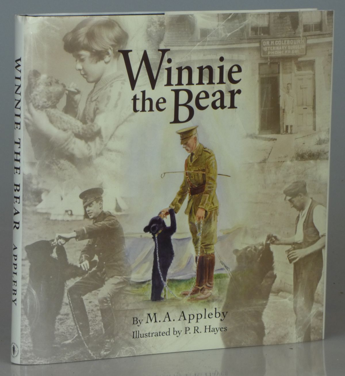 Image for Winnie the Bear